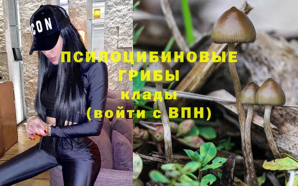 гашишное масло Армянск