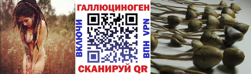 kraken вход  продажа наркотиков  Осташков  Галлюциногенные грибы ЛСД 